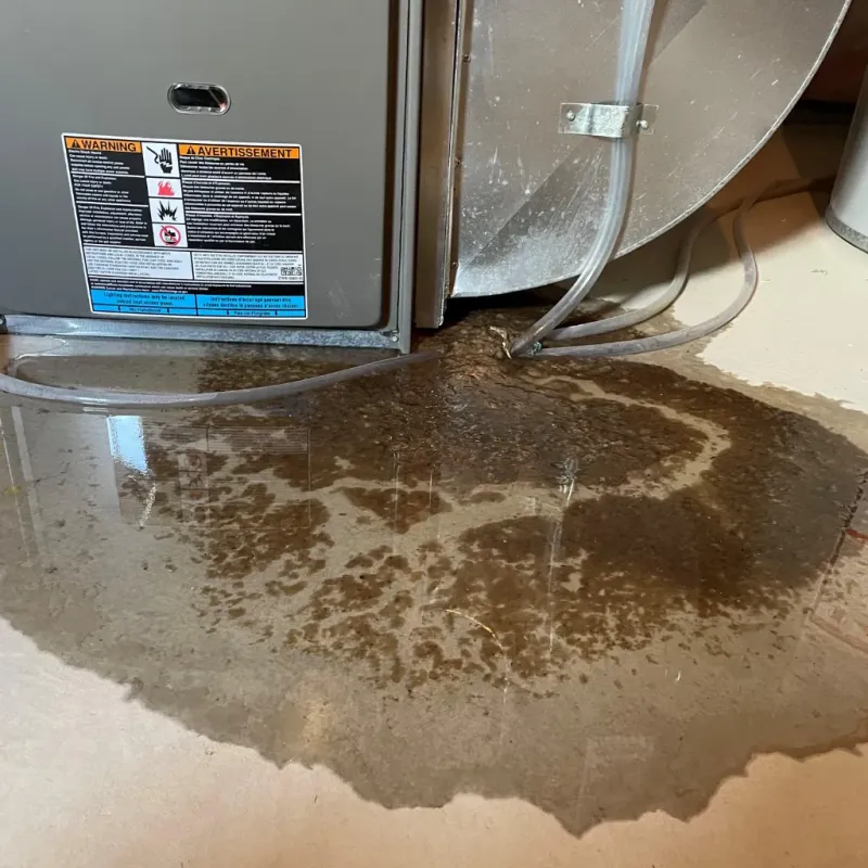 Appliance Leak Cleanup in Englewood, NJ